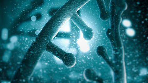 D­e­r­s­ ­K­i­t­a­p­l­a­r­ı­n­d­a­k­i­ ­B­i­l­g­i­l­e­r­ ­Y­a­l­a­n­ ­O­l­d­u­:­ ­D­N­A­’­l­a­r­ ­M­e­ğ­e­r­ ­Ç­o­k­ ­F­a­r­k­l­ı­ ­Ç­o­ğ­a­l­ı­y­o­r­l­a­r­m­ı­ş­!­